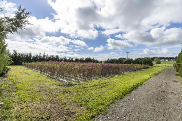 69 Matarikoriko Road Waitara_12