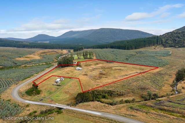 Tahakopa Valley Road Catlins Surrounds_1