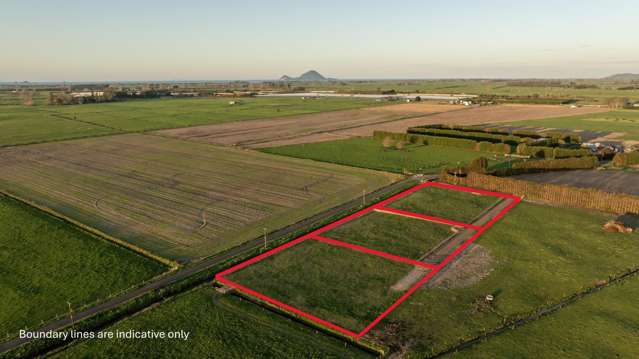 71 Edgecumbe Soldiers Road Edgecumbe_3