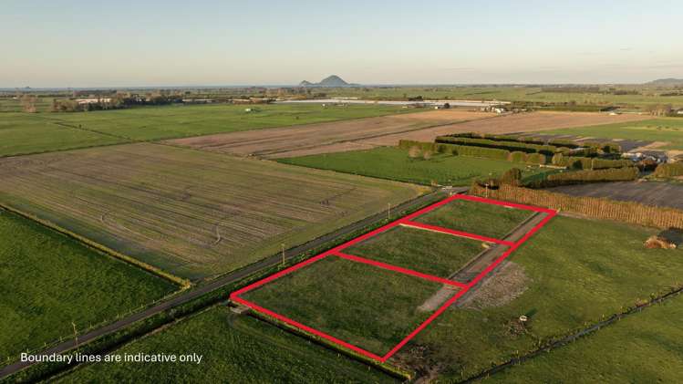 71 Edgecumbe Soldiers Road_3