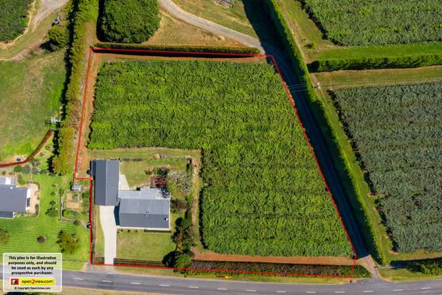 494 Paerata Ridge Road Opotiki and Surrounds_1