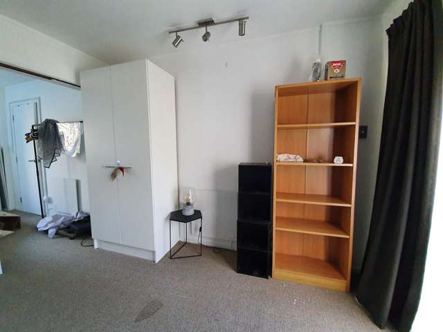 55 Richard Farrell Avenue Remuera_1