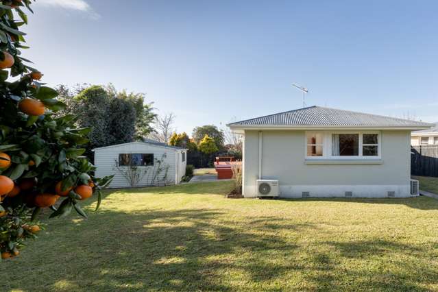 127 Boucher Avenue Te Puke_4