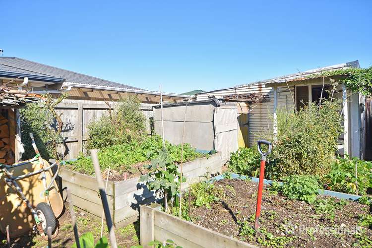 19 Rhodes Street Carterton_11
