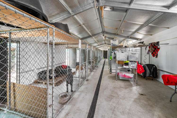 1981 Omakau-Chatto Creek Road Alexandra_21