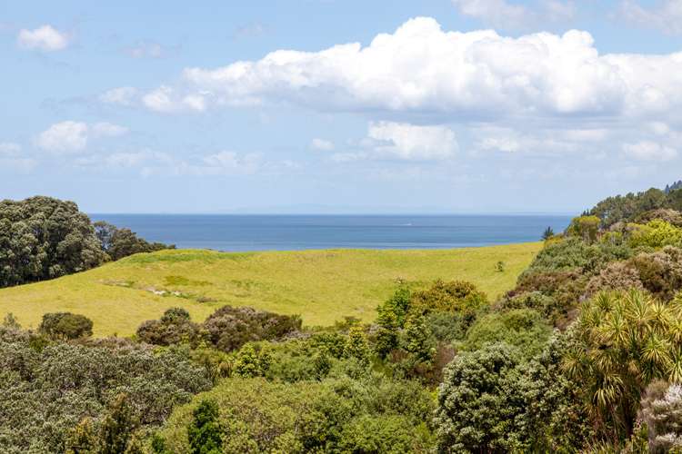 443 Onemana Drive Onemana_19