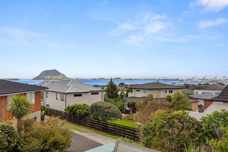 29 Lemon Grove Avenue_3