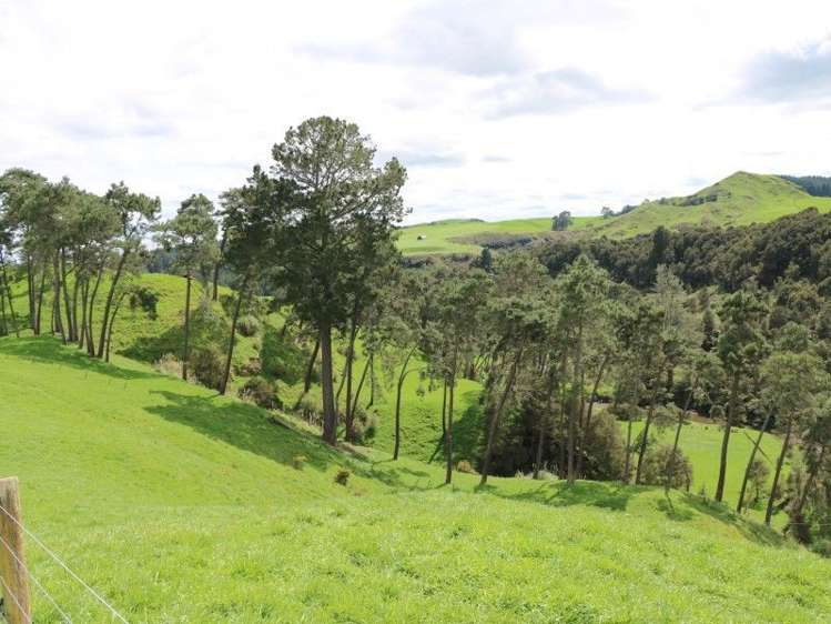 196 Hildreth Road Arapuni_28