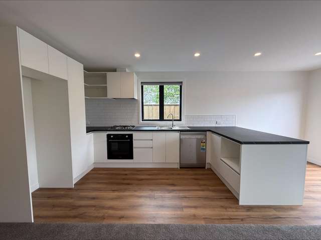  3/205 Puriri Street Castlecliff_3