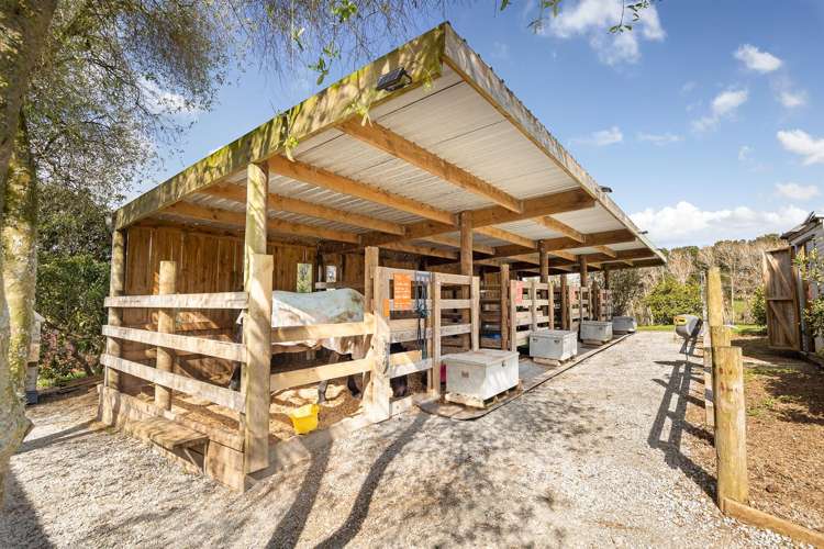 124 Rimmer Road Helensville_37