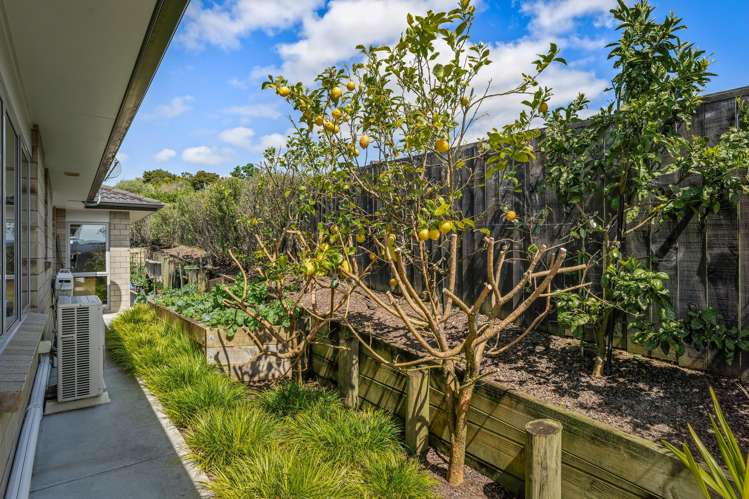 6 Jade River Place Warkworth_31