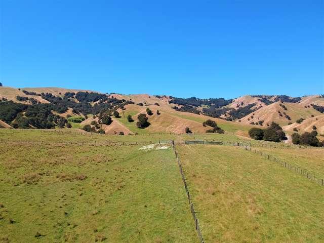 420 Hiranui Road Waipukurau_1