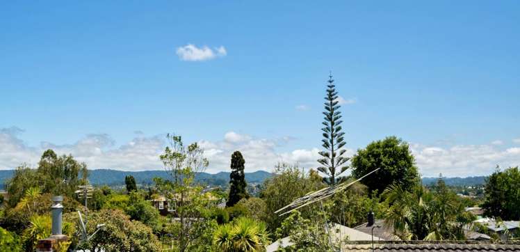 80 Te Atatu Road Te Atatu South_12