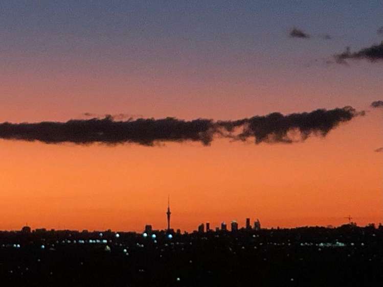 117 Bradbury Road Botany Downs_10