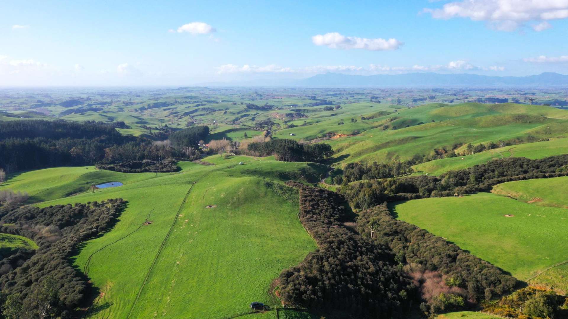 613 Waterworks Road Morrinsville_0