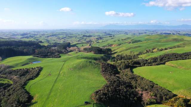 Central Waikato grazing and finishing block