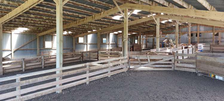 1777 Papatowai Highway Papatowai/Pounawea_7