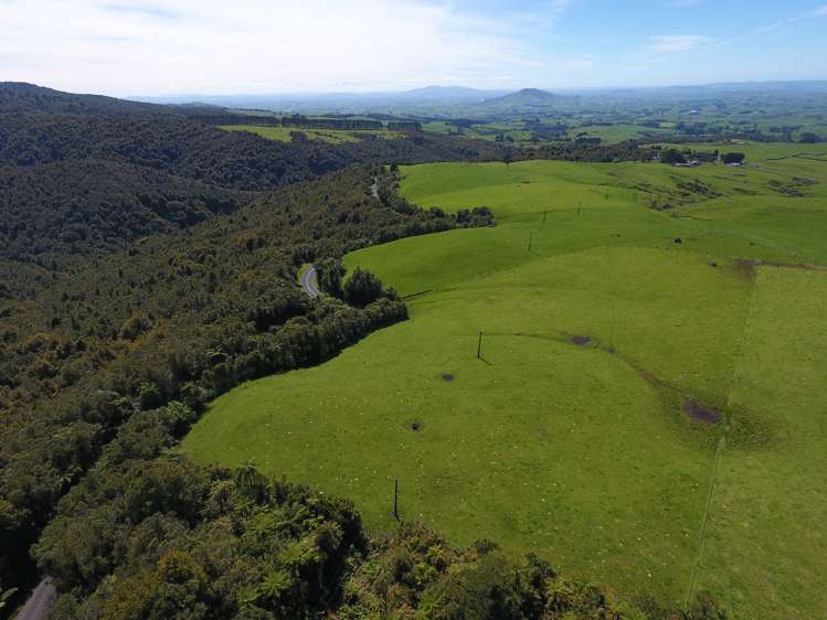 Pekanui Road Puketotara_18