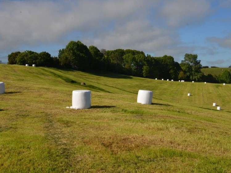 1035 Bayley Road Wharepuhunga_5