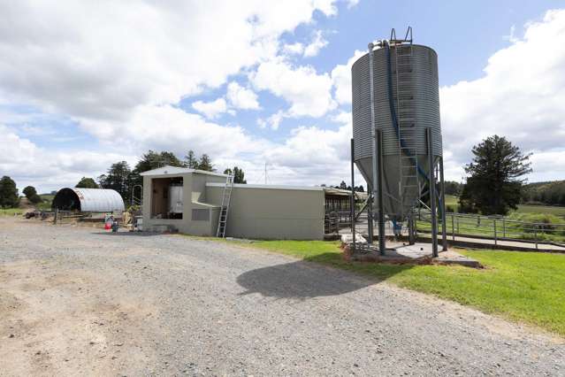 503 Puhipuhi Road Whakapara_1