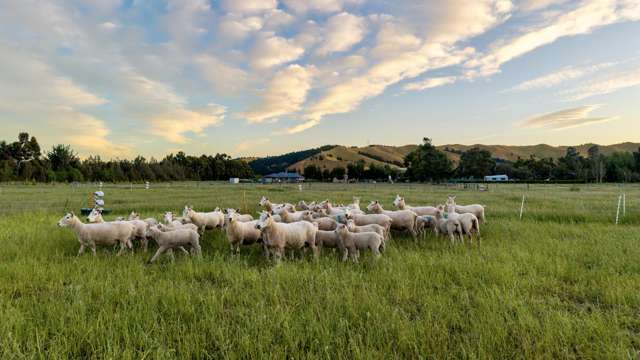 136 Hardings Road Riverlands_2