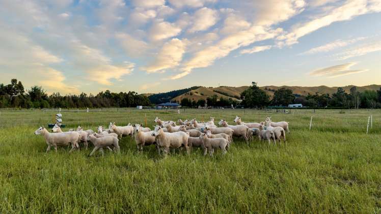 136 Hardings Road Riverlands_2