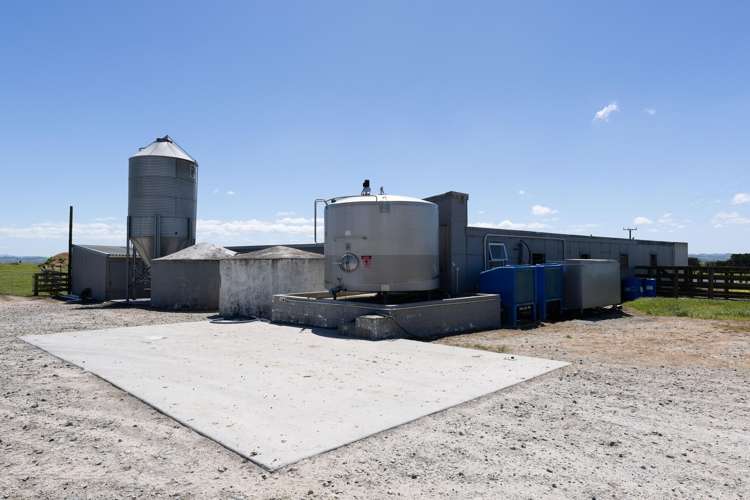 2611 Pouto Road Te Kopuru_17