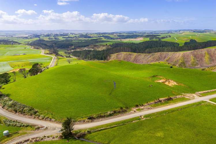 780 Te Maire Road Te Kopuru_29