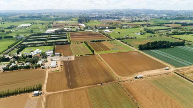 49 Cronin Road Pukekohe_1