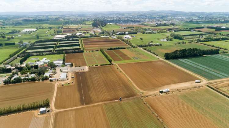 49 Cronin Road Pukekohe_1