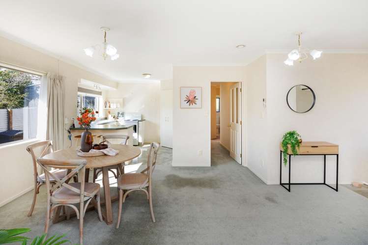 32 Mcgregor Street Milson_11