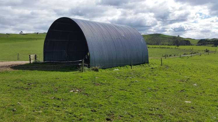 Morrinsville-Tahuna Road Morrinsville_13