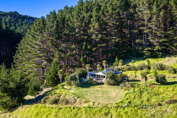 380 Whaanga Road Raglan_45