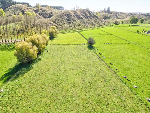 45 Flemington Road Aramoho_1