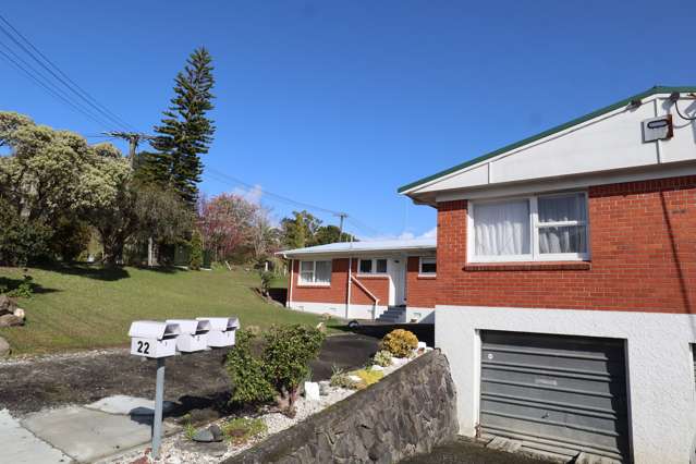 22A Raewyn Street Morningside_3