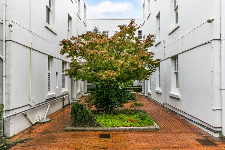 1/3 Aro Street Aro Valley_12