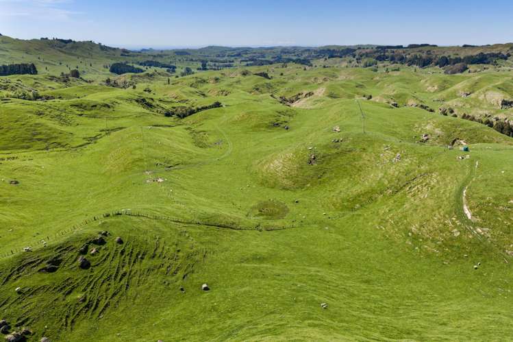 1262 - 1520 Maraetotara Road Waimarama_21