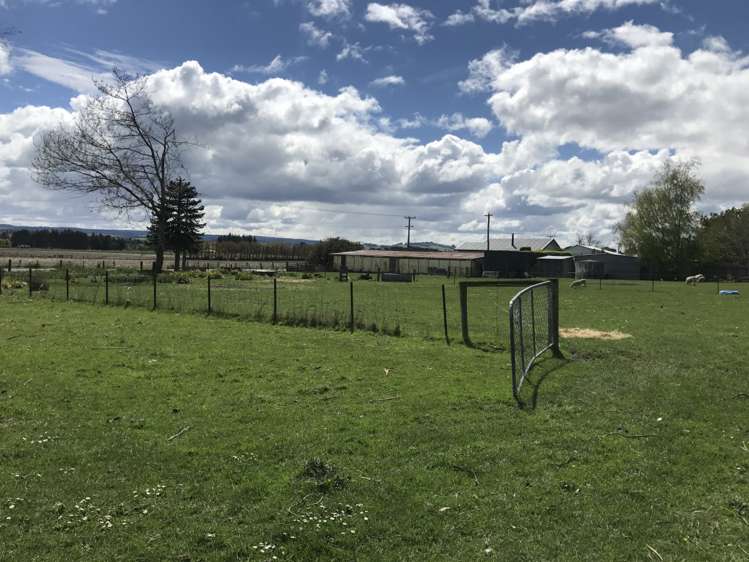 146 Springfield Road Milton_10