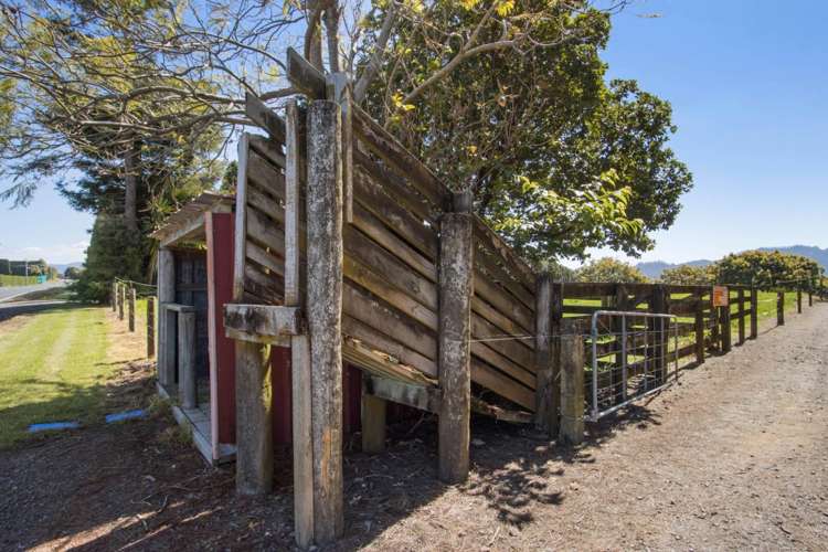155 Ongare Point Road Katikati_32