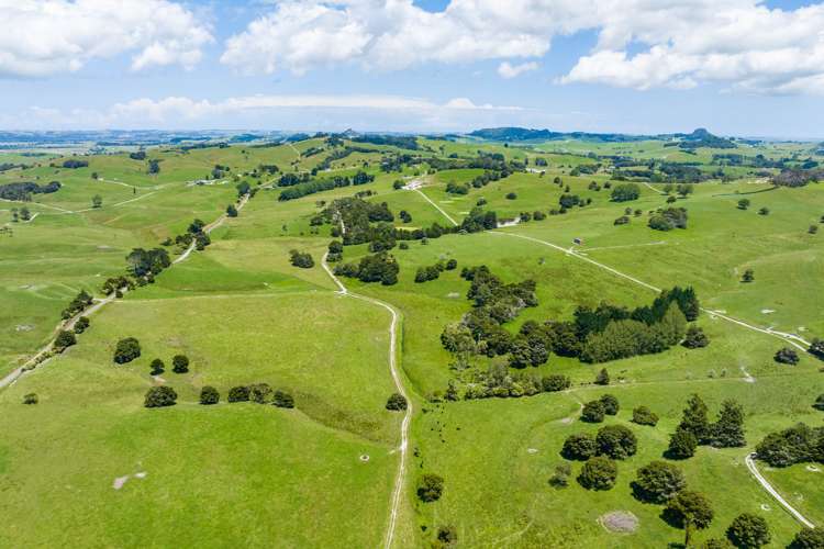 59 Ringrose Road Ruawai_25