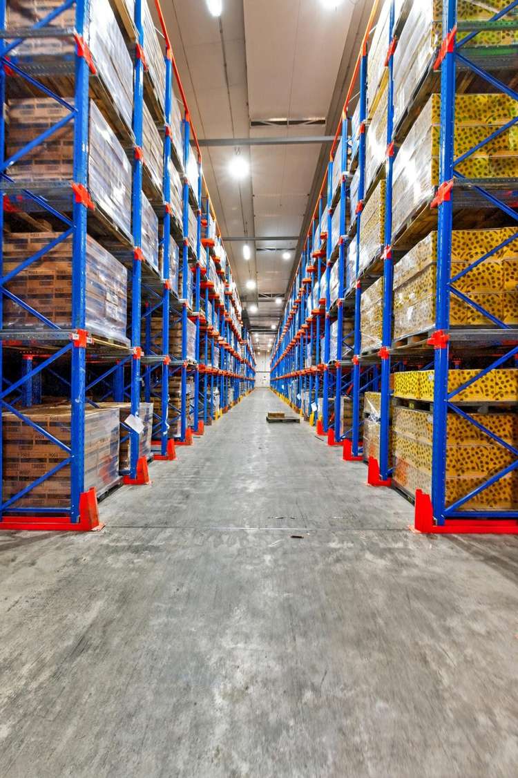 100 Kerwyn Avenue East Tamaki_2