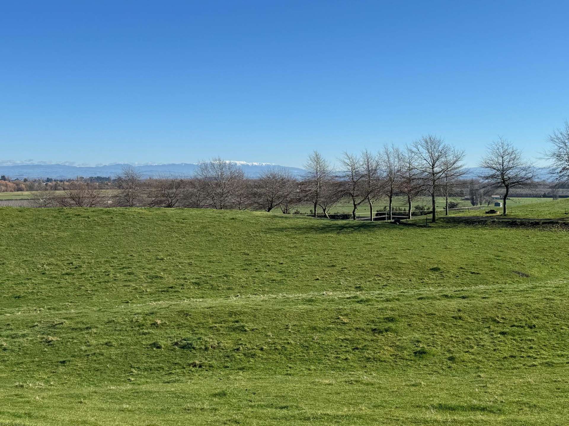 Tuki Tuki Road Haumoana_0