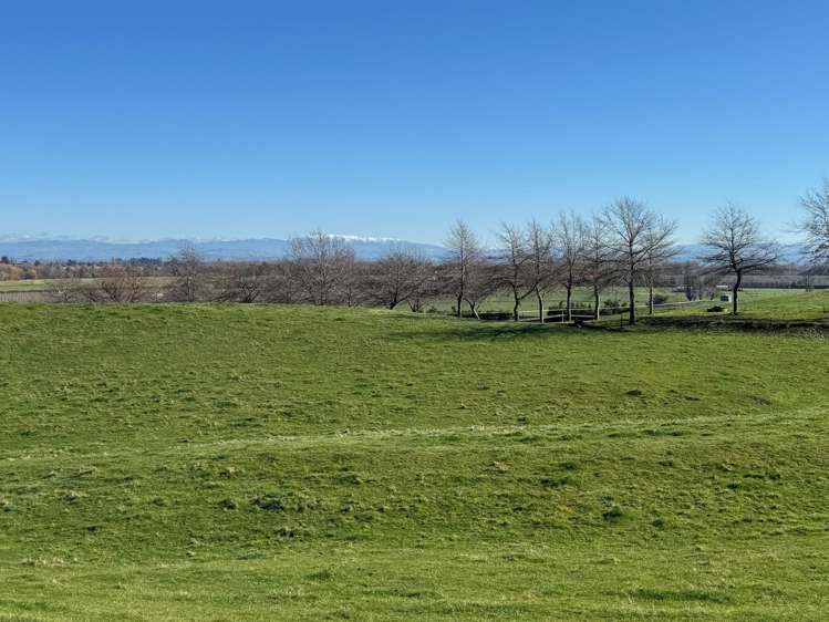 Tuki Tuki Road Haumoana_0