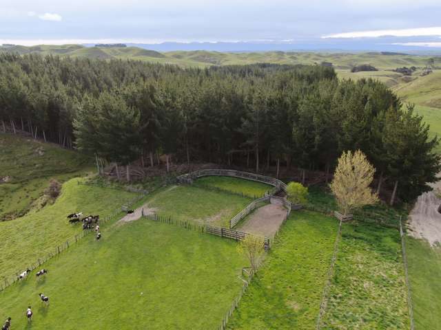 304 Middleton Road Waipukurau_4