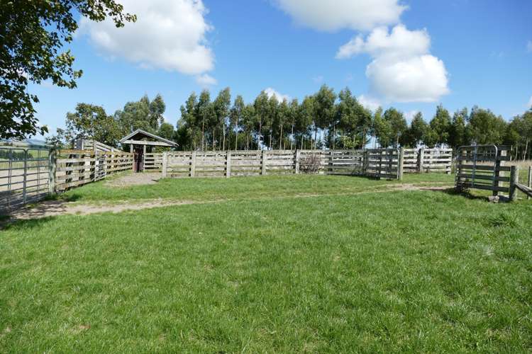 447 Otawhao Road Takapau_9