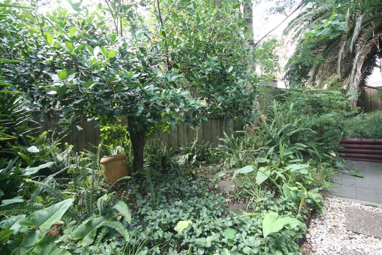 22 Paulownia Place Totara Heights_19