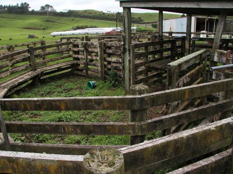 382 Awai Road Tarurutangi_14