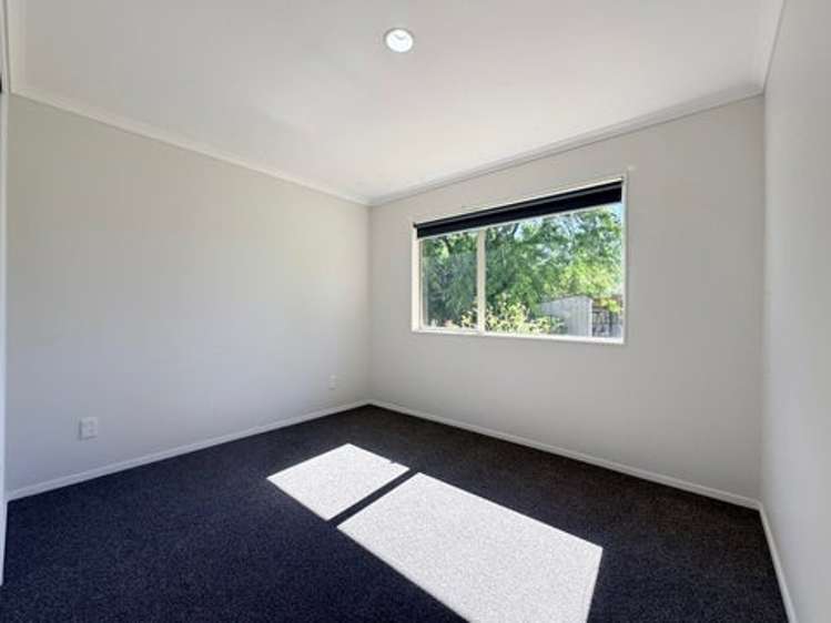 1164 No 3 Road Te Puke_7