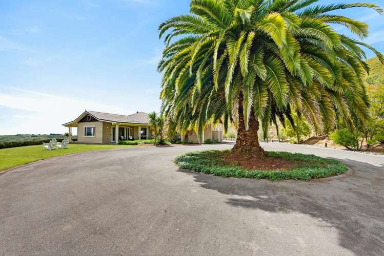 55 Whakapirau Road Maraekakaho_48