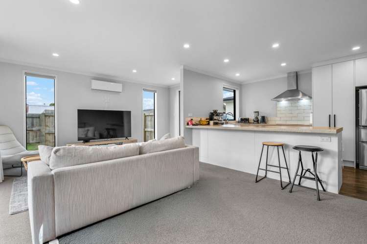 99B Bruce Avenue 1071_3